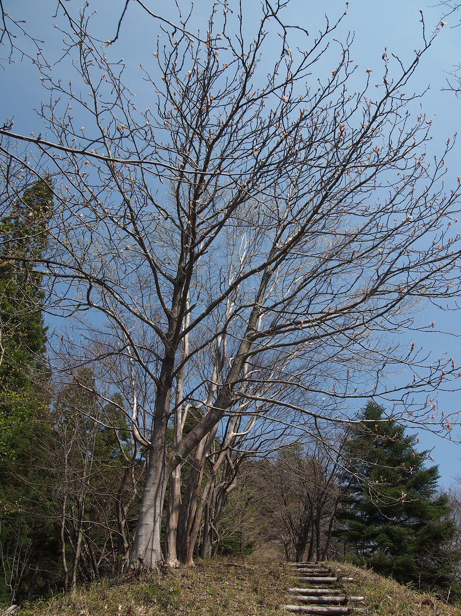 P4163813.jpg