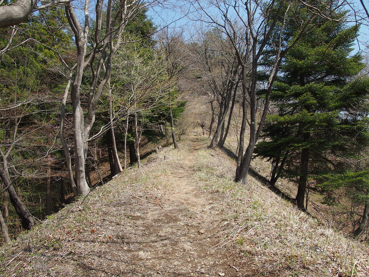 P4163815.jpg