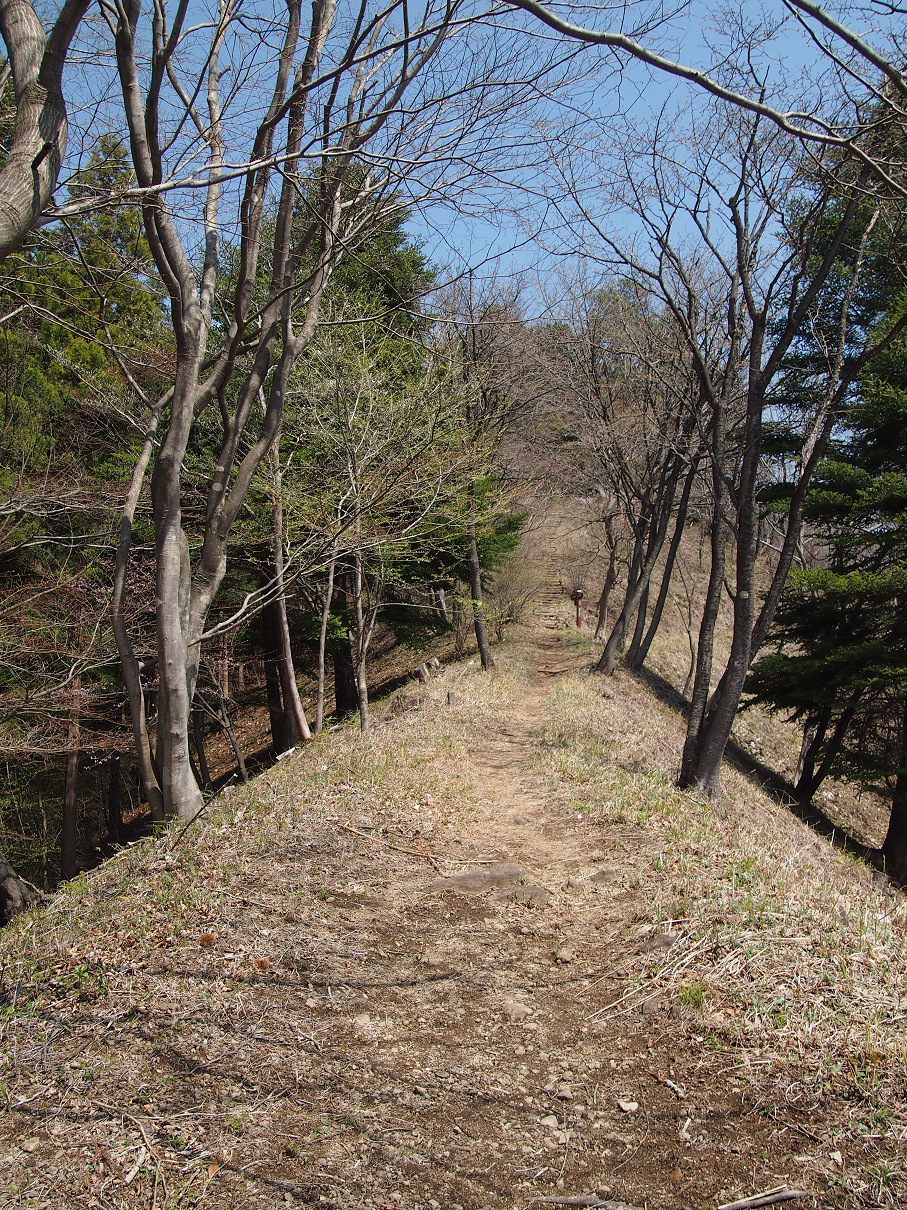 P4163816.jpg