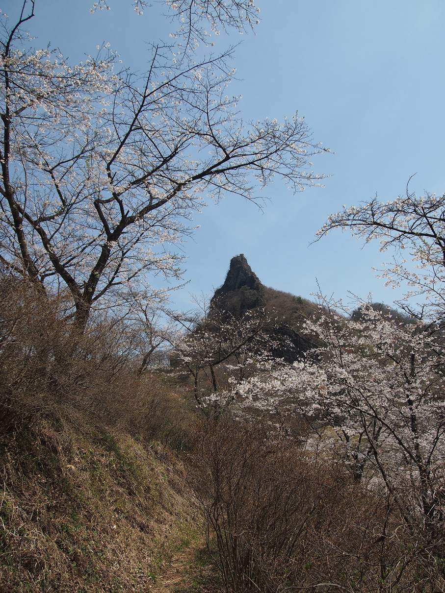 P4163823.jpg
