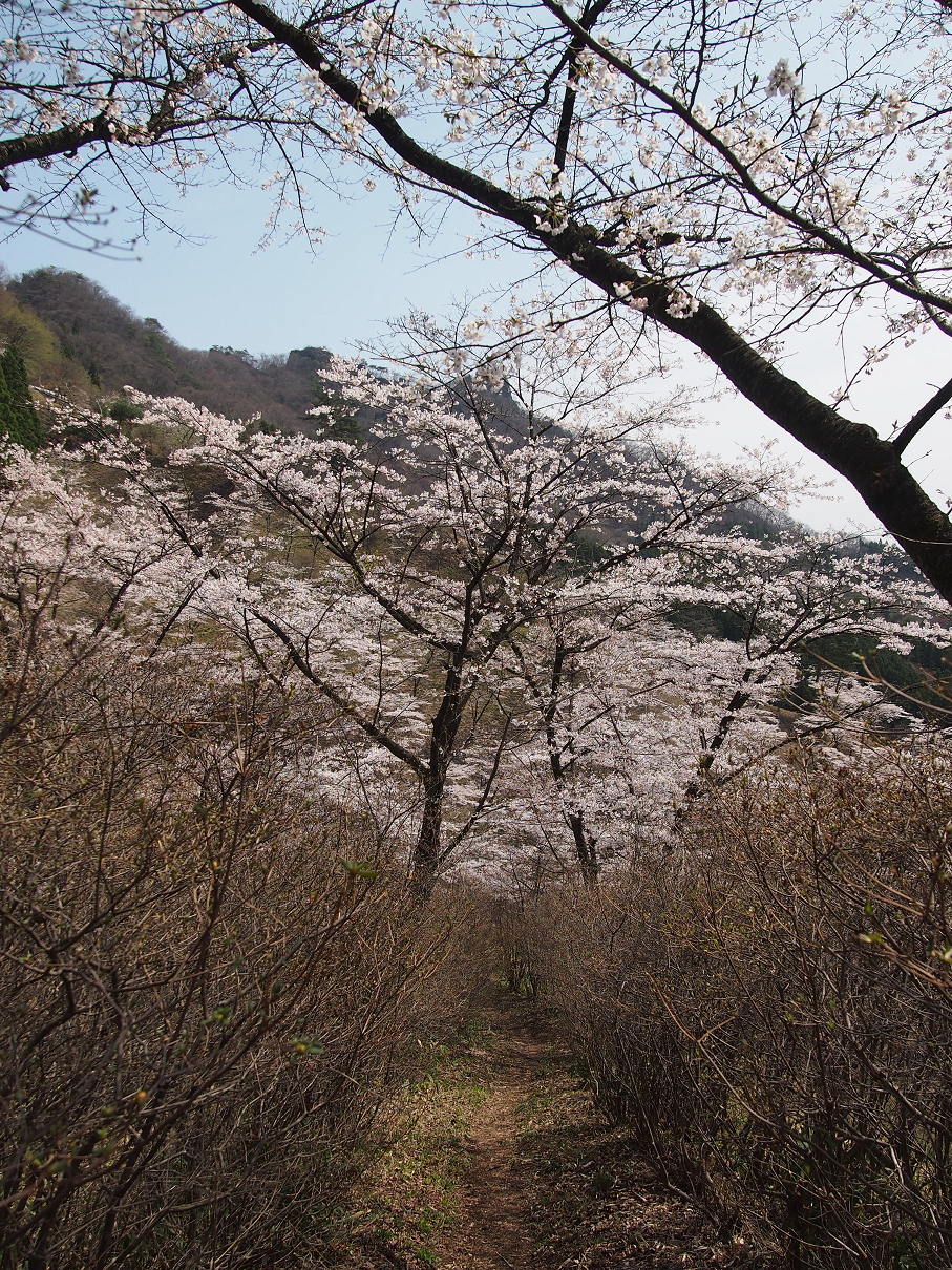 P4163825.jpg