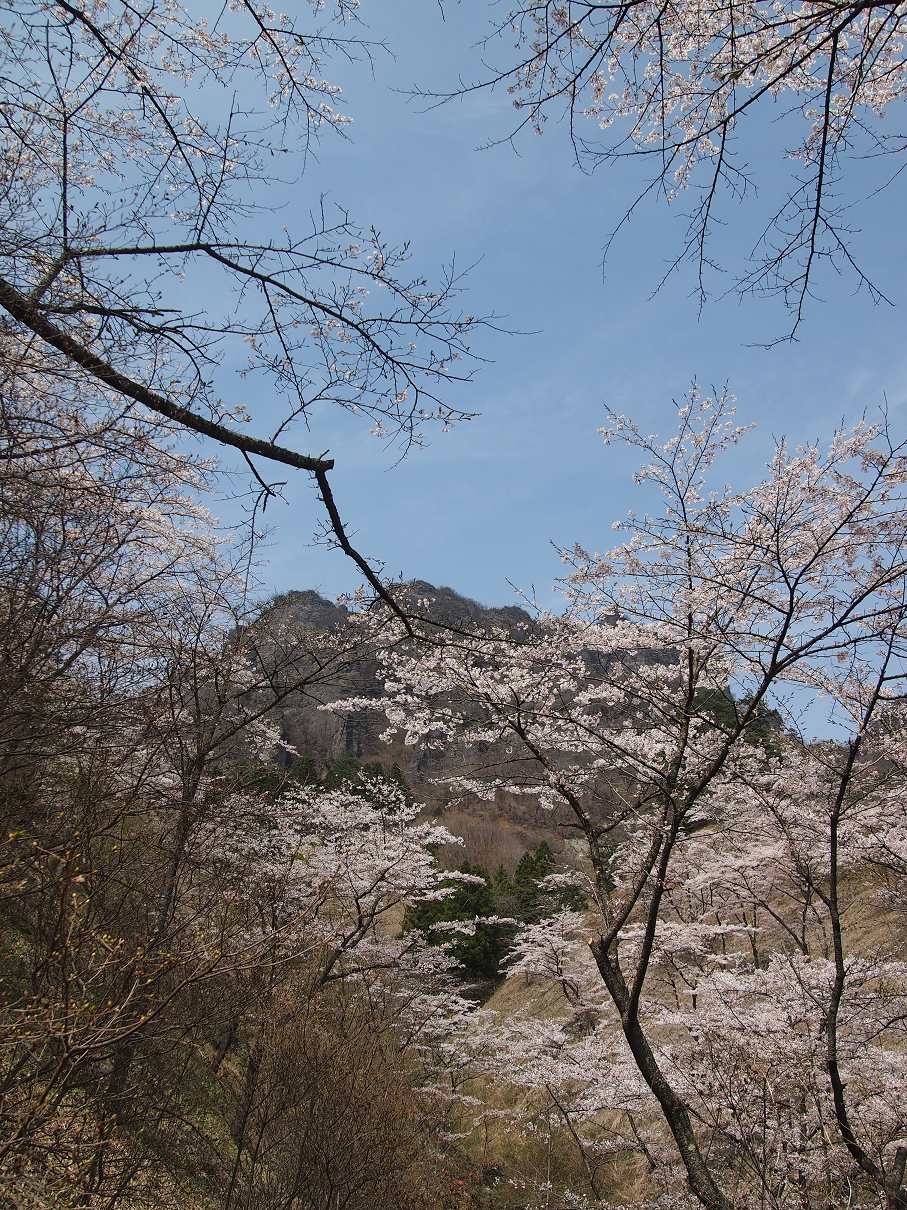 P4163829.jpg