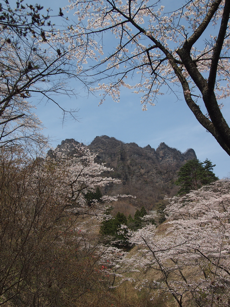 P4163831.jpg