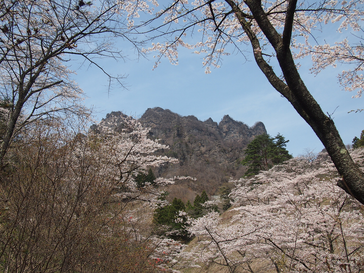 P4163833.jpg