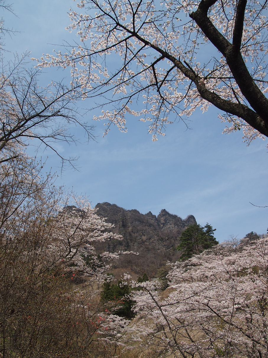 P4163835.jpg