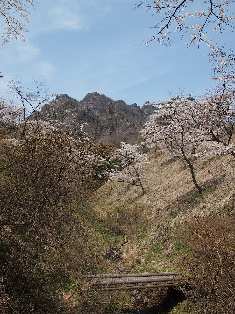 P4163837.jpg