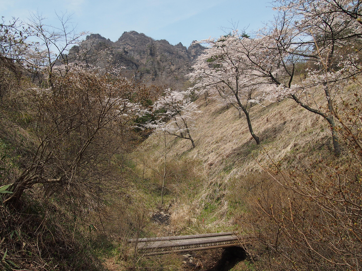 P4163838.jpg