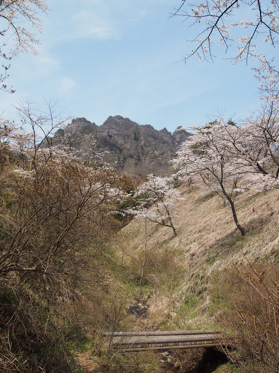 P4163840.jpg