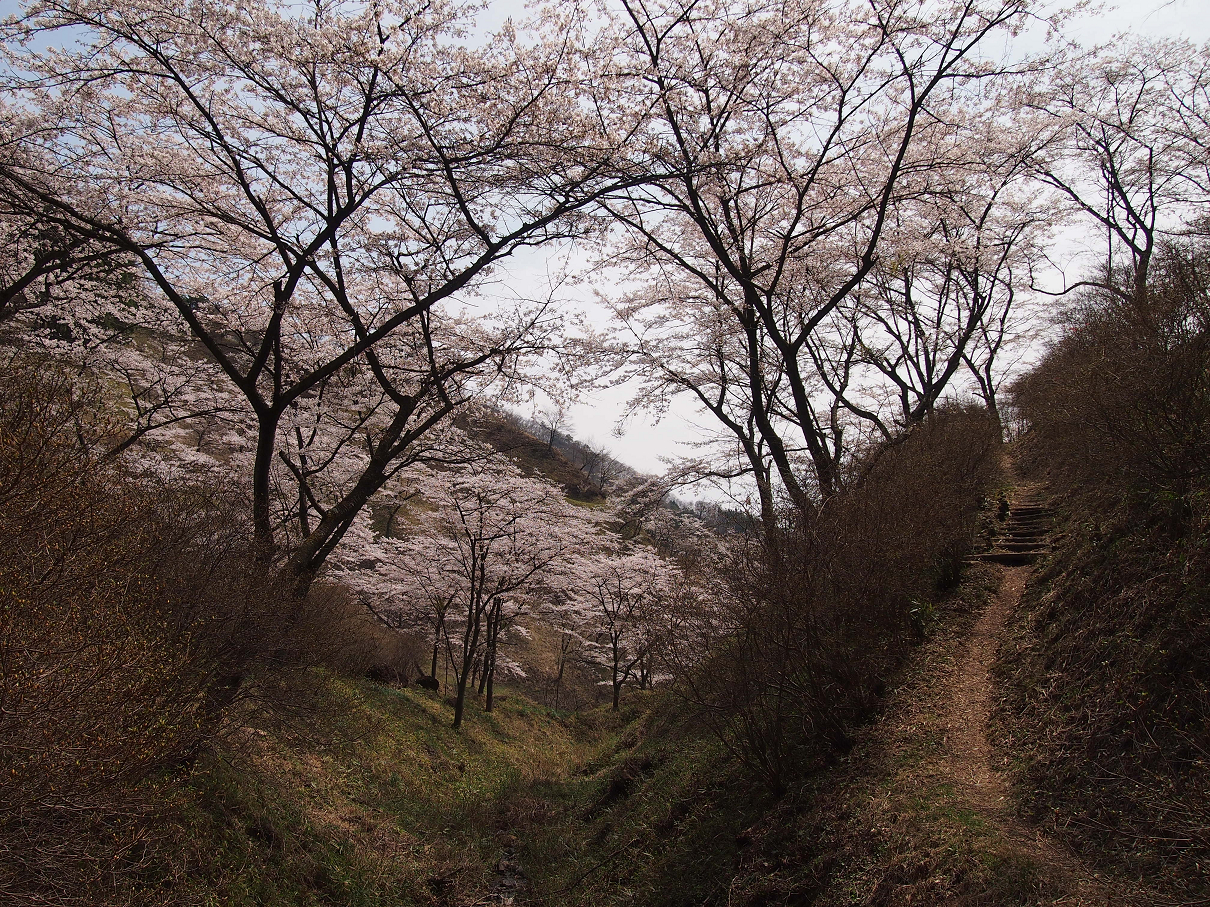 P4163843.jpg