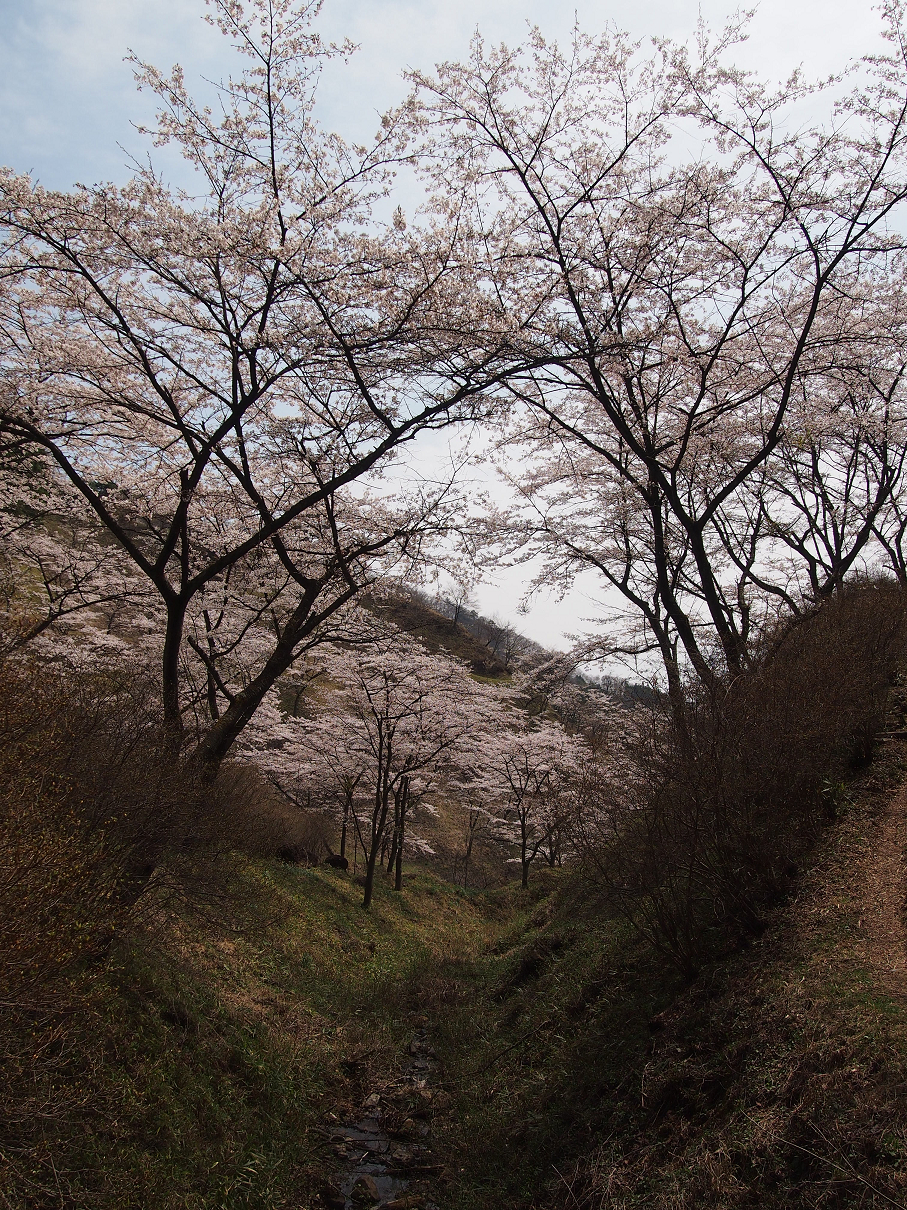 P4163844.jpg