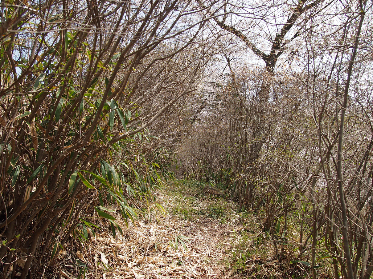 P4163848.jpg