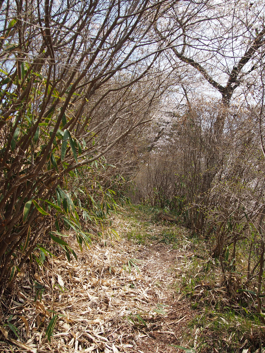 P4163849.jpg