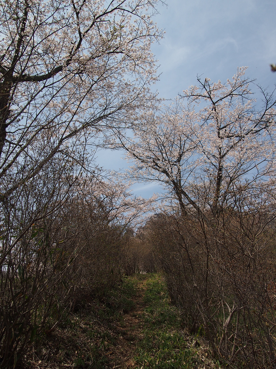 P4163850.jpg