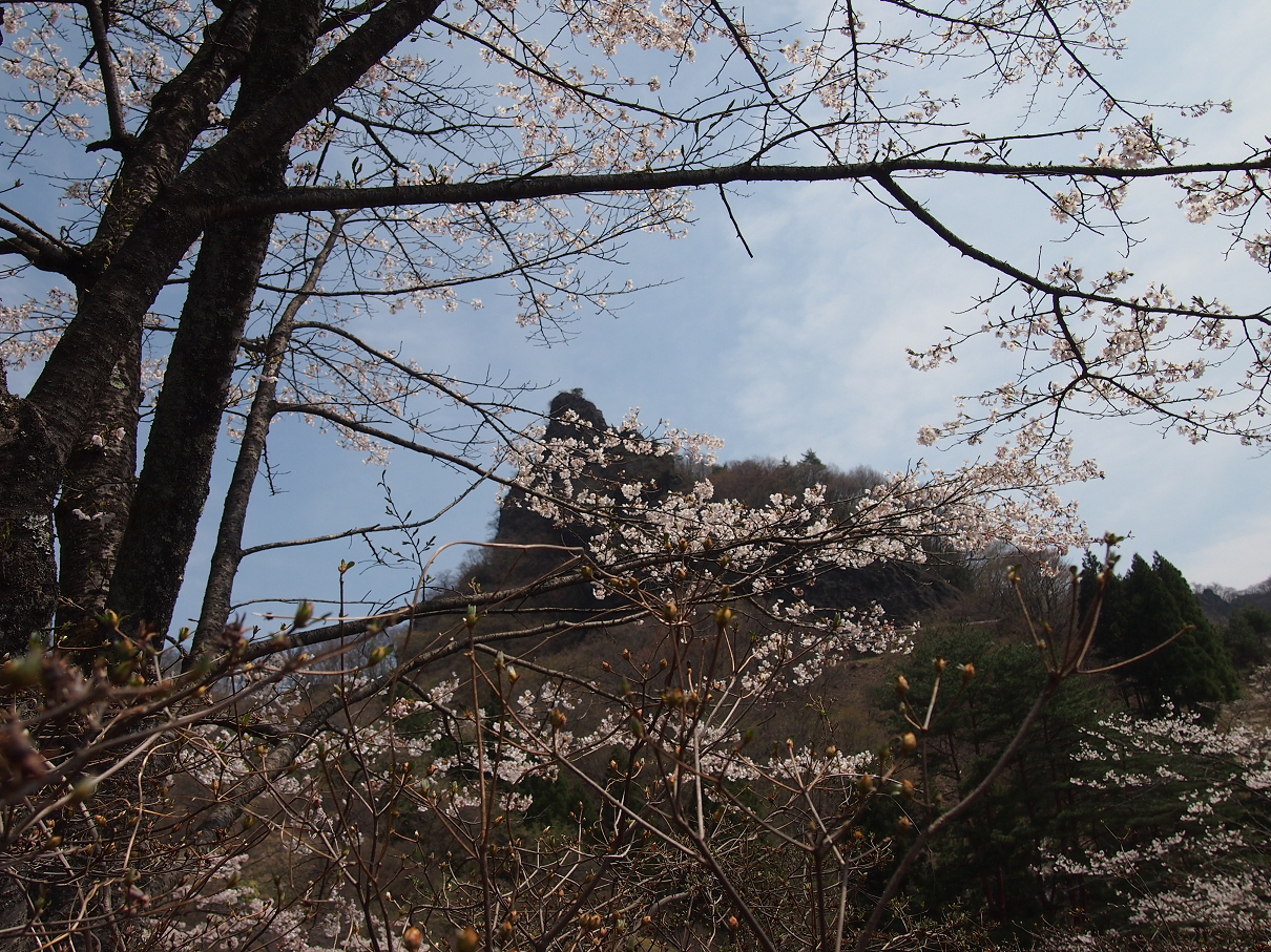 P4163852.jpg