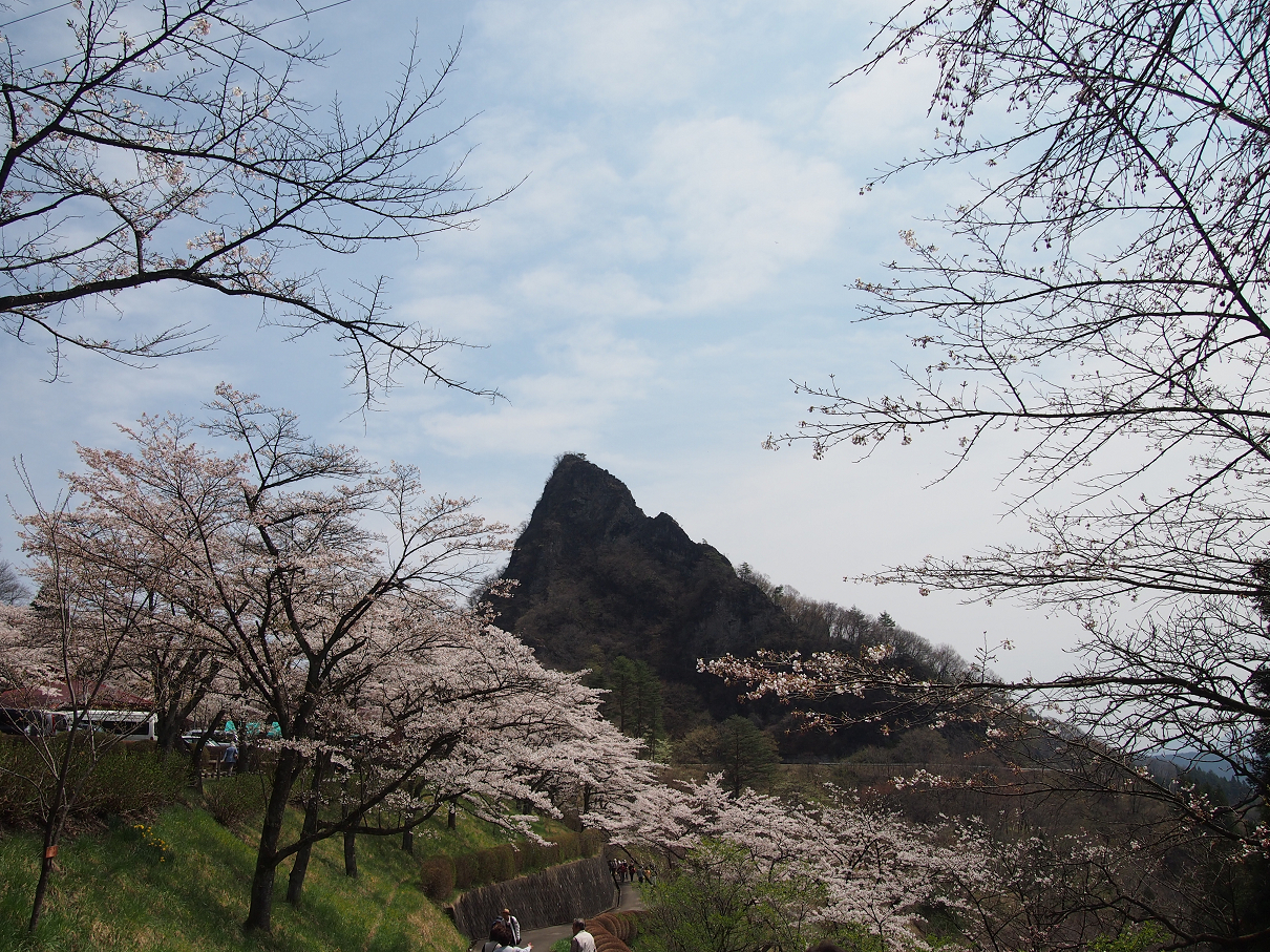 P4163858.jpg