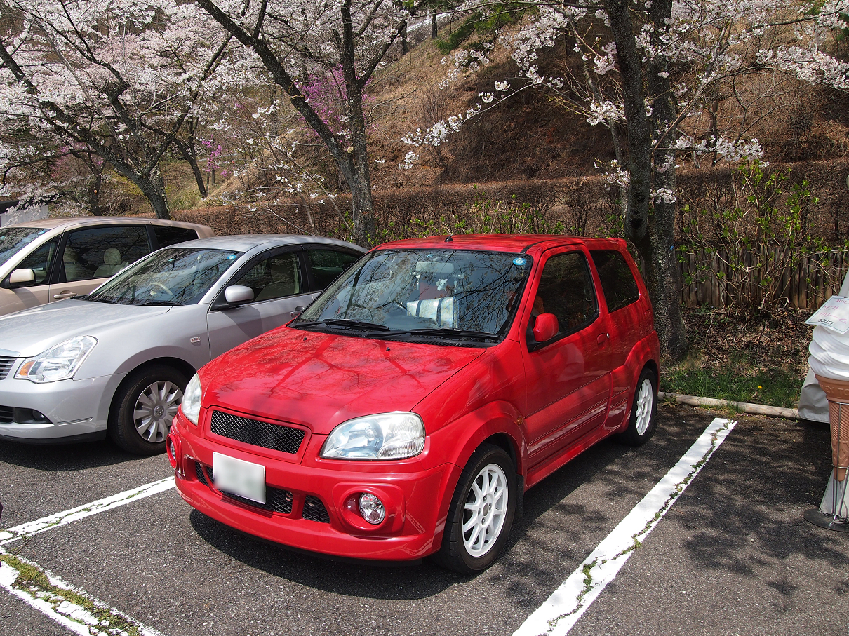 P4163867.jpg