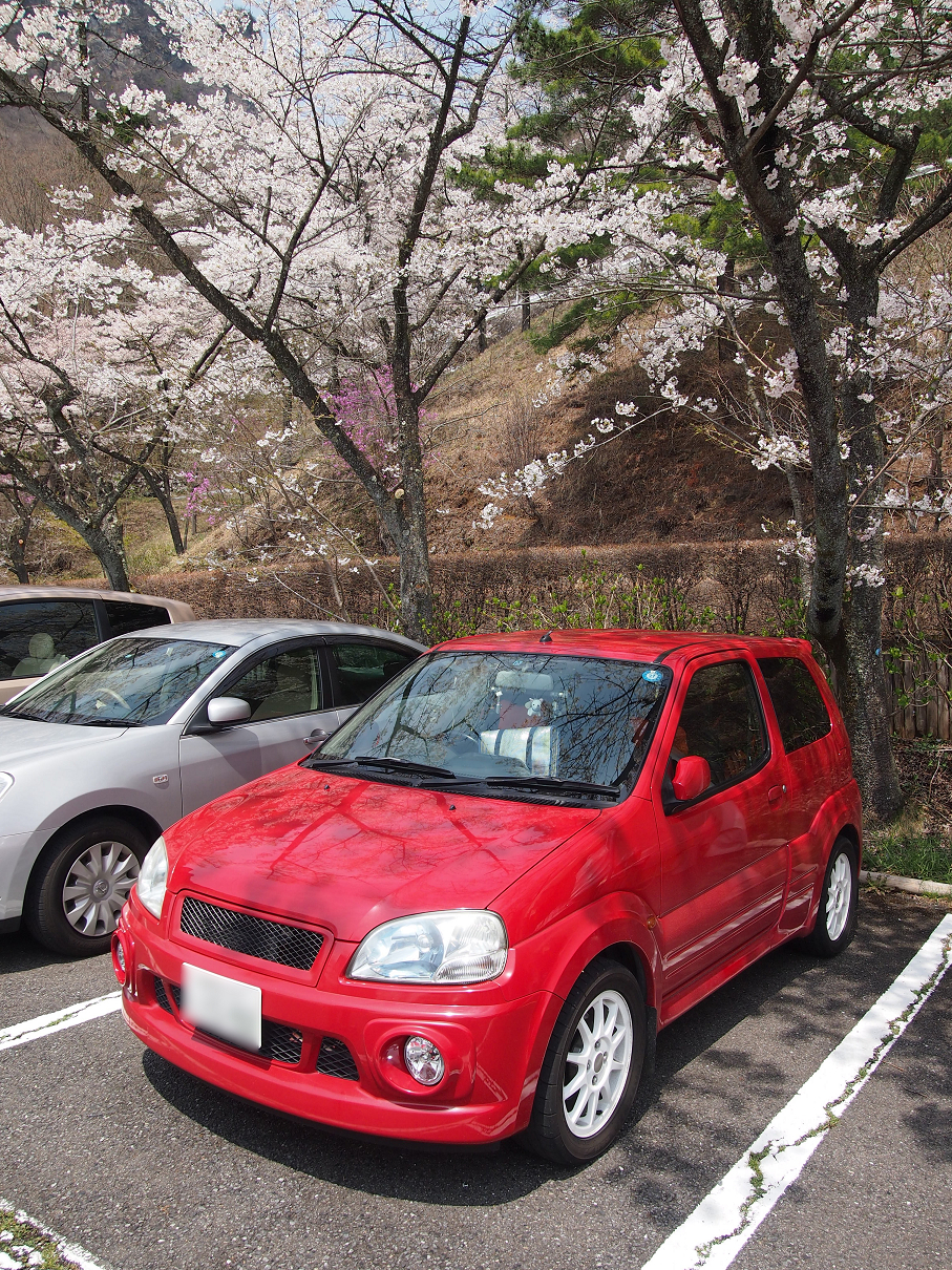 P4163868.jpg