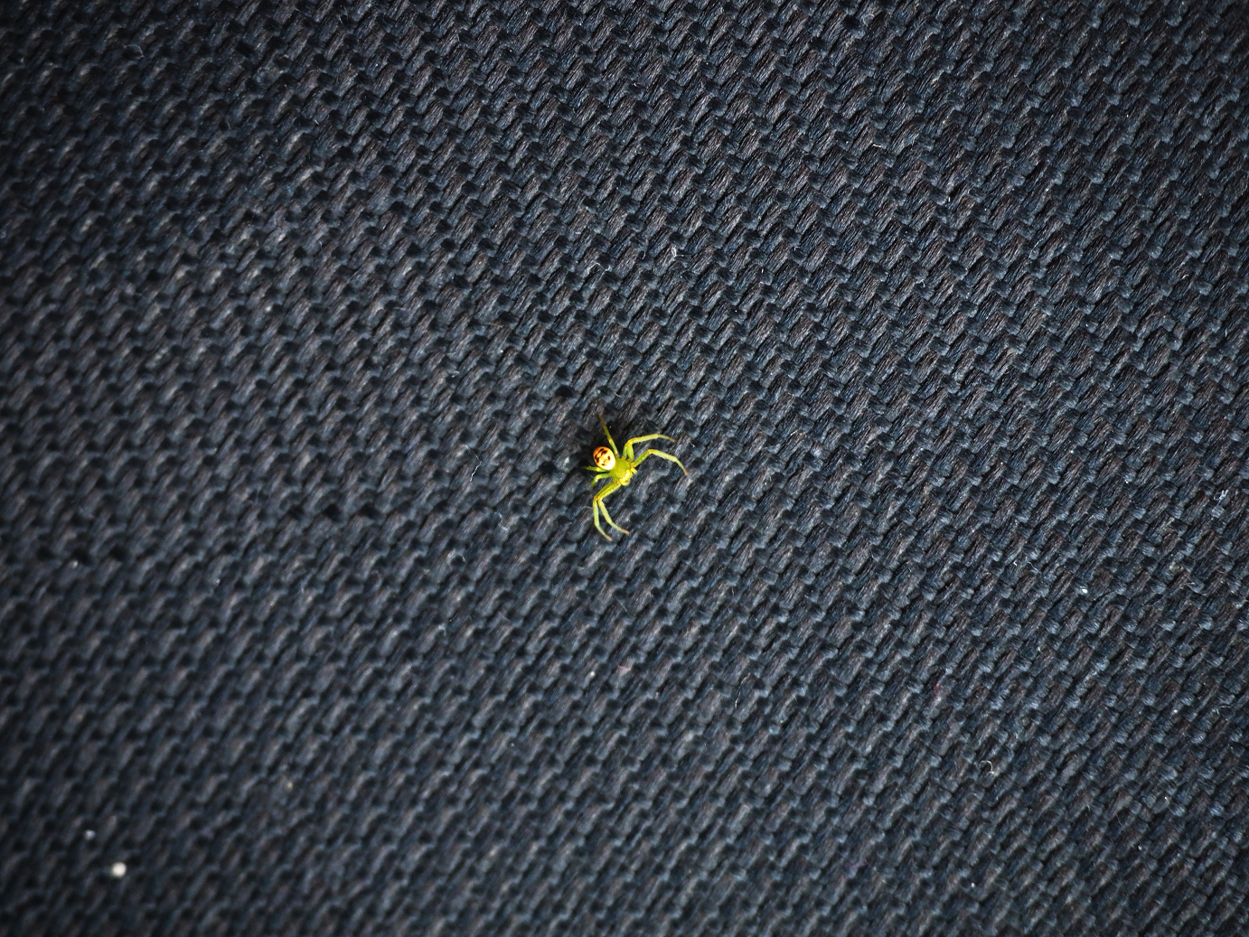 P4166031.jpg