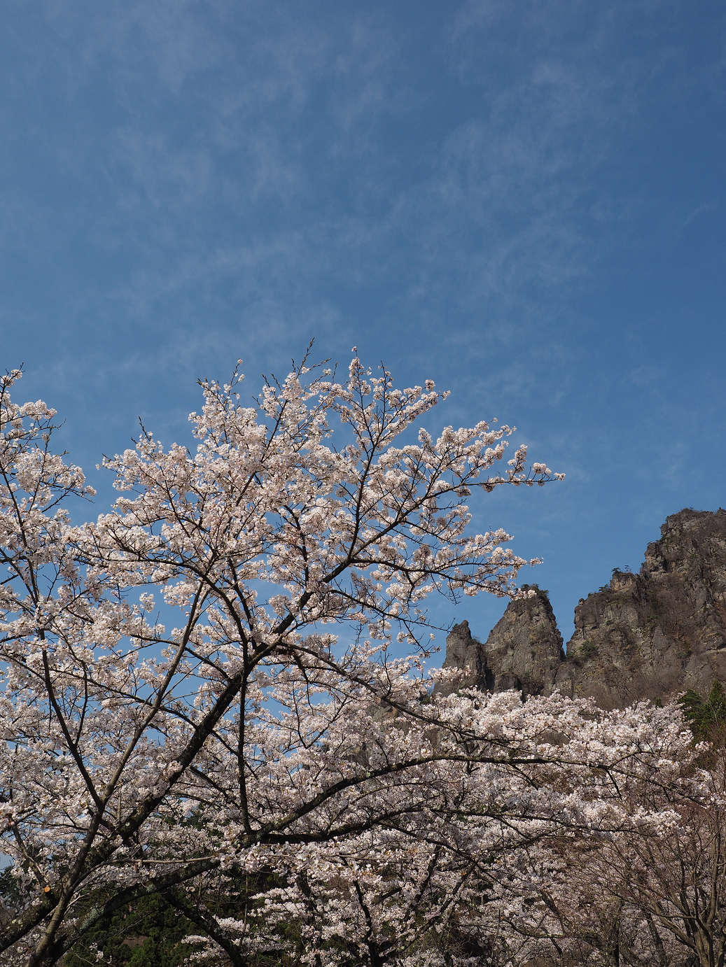 P4166073.jpg