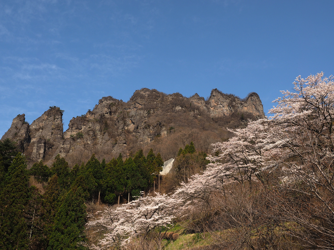P4166086.jpg