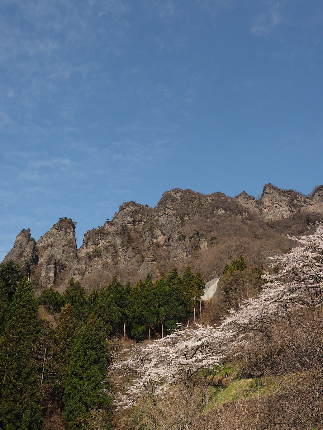 P4166088.jpg