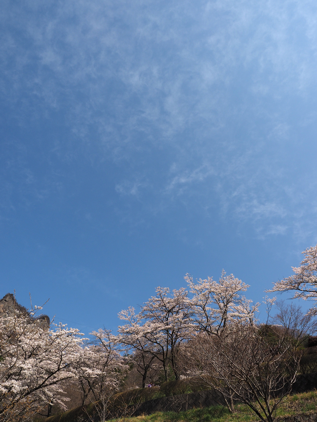 P4166090.jpg