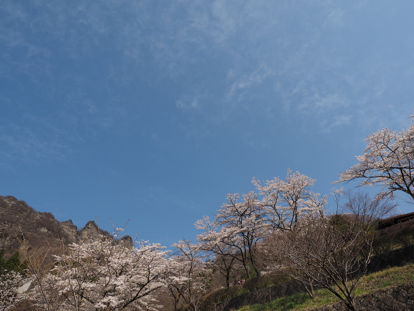 P4166091.jpg
