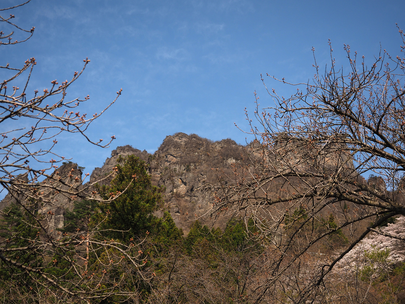 P4166093.jpg
