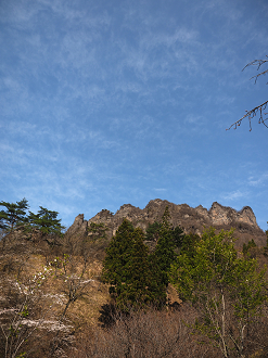 P4166095_thumb.png
