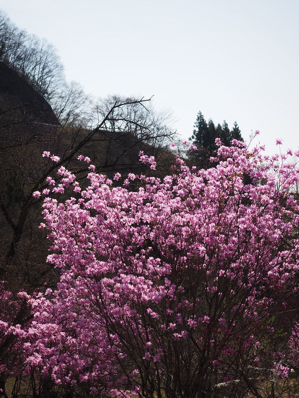 P4166097.jpg