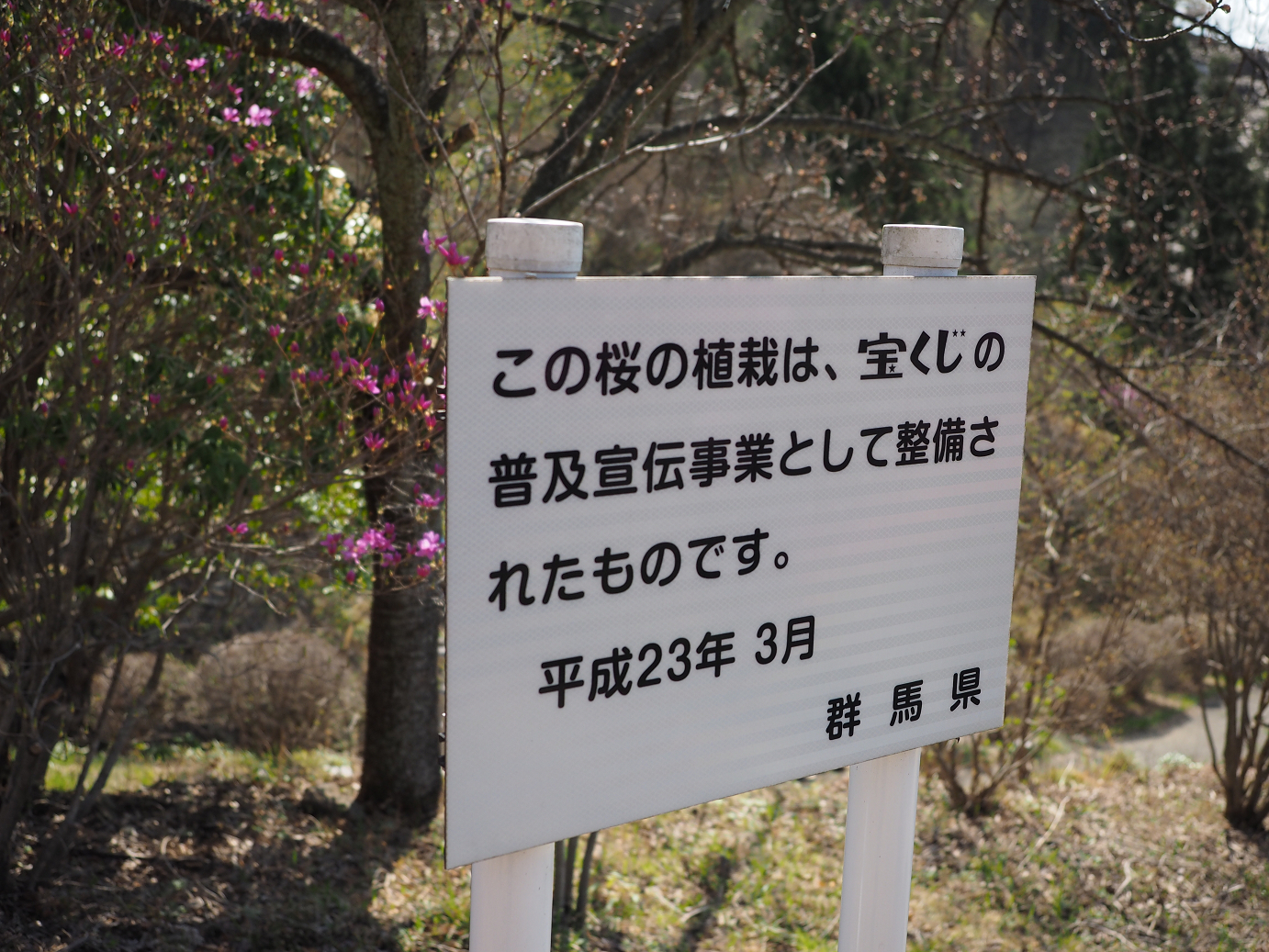 P4166130.jpg