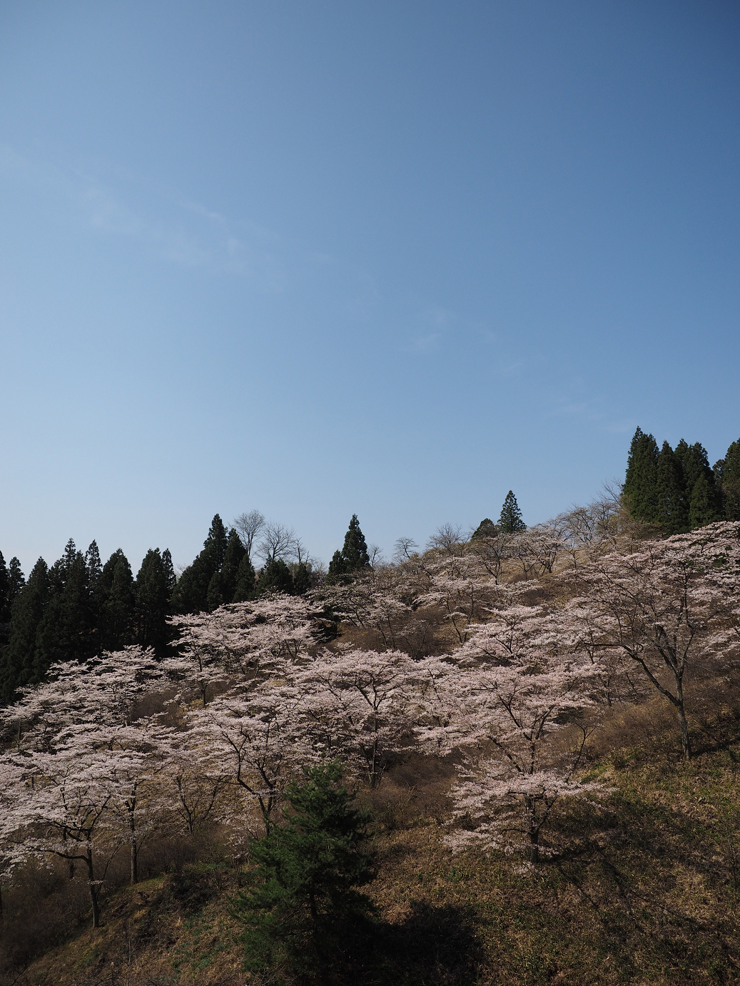 P4166140.jpg