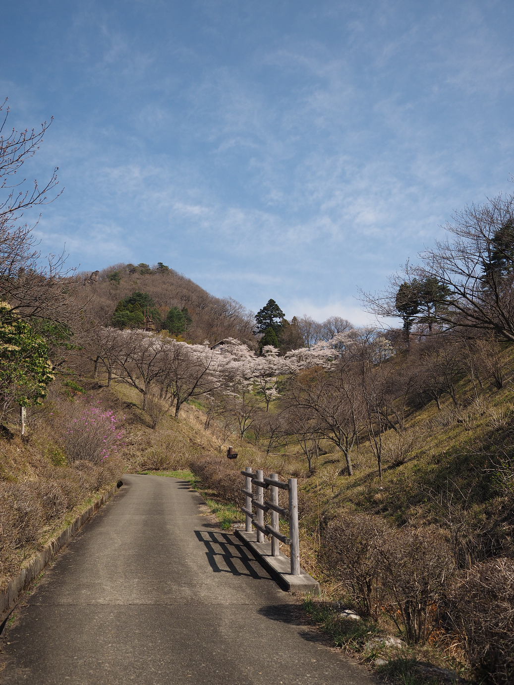 P4166143.jpg