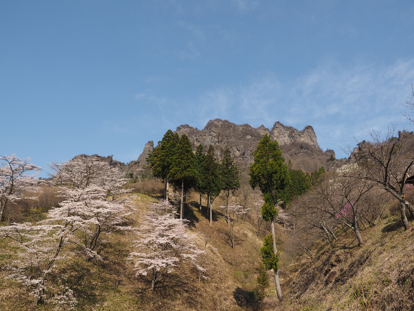 P4166156.jpg