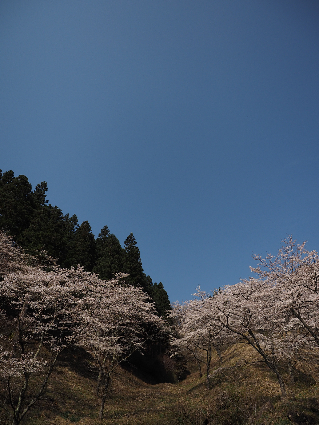 P4166202.jpg