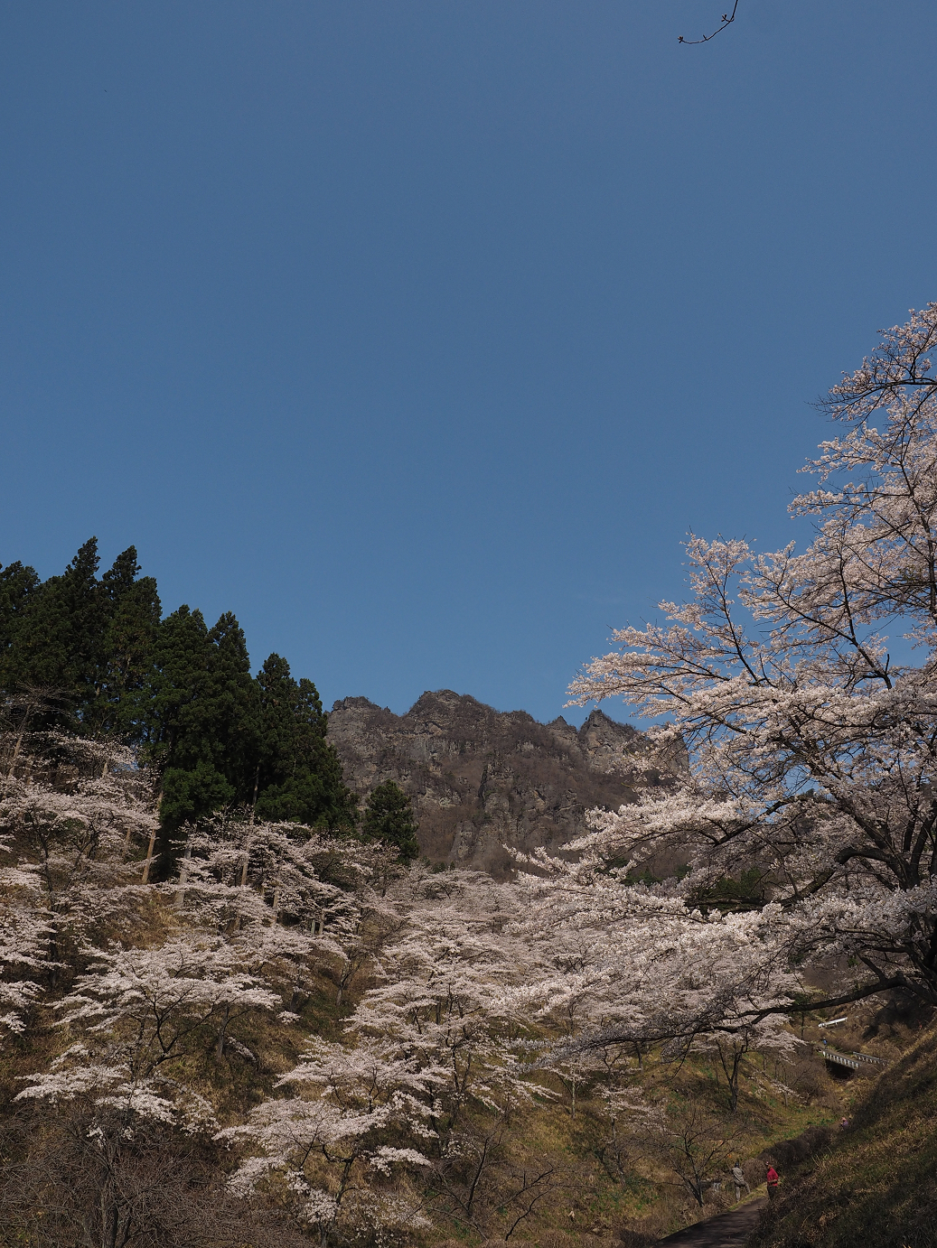 P4166238.jpg