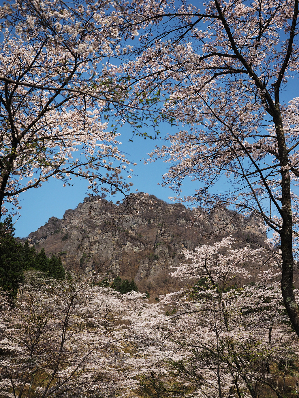 P4166244.jpg