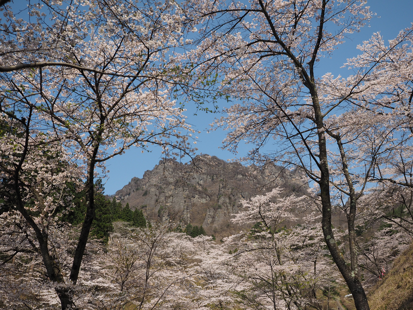 P4166245.jpg