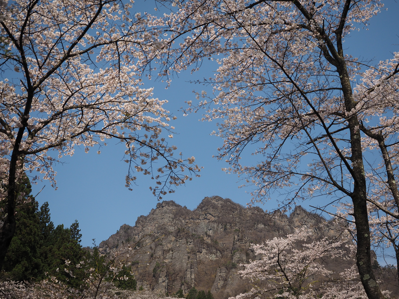 P4166247.jpg
