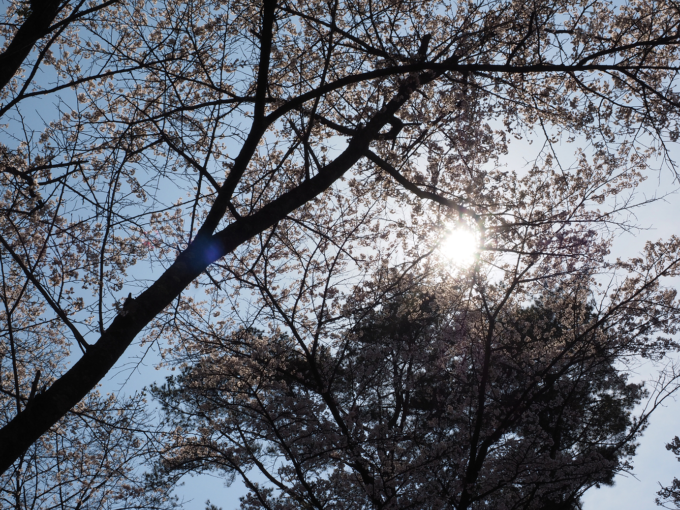 P4166258.jpg