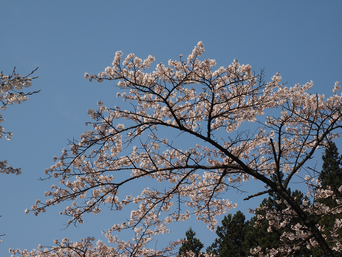 P4166262.jpg