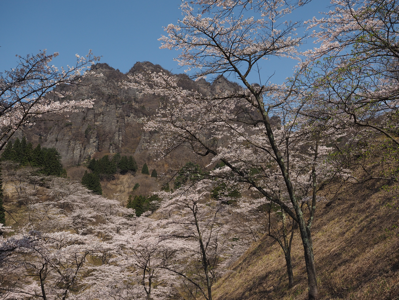 P4166272.jpg