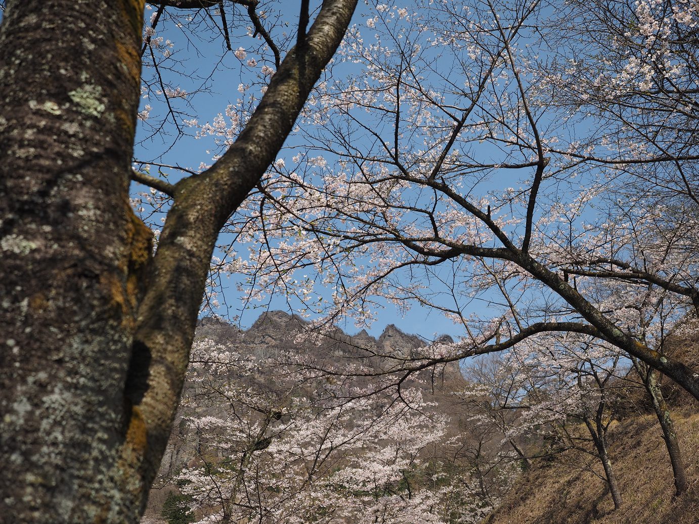 P4166283.jpg