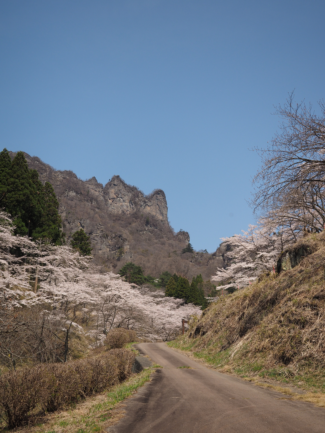 P4166347.jpg