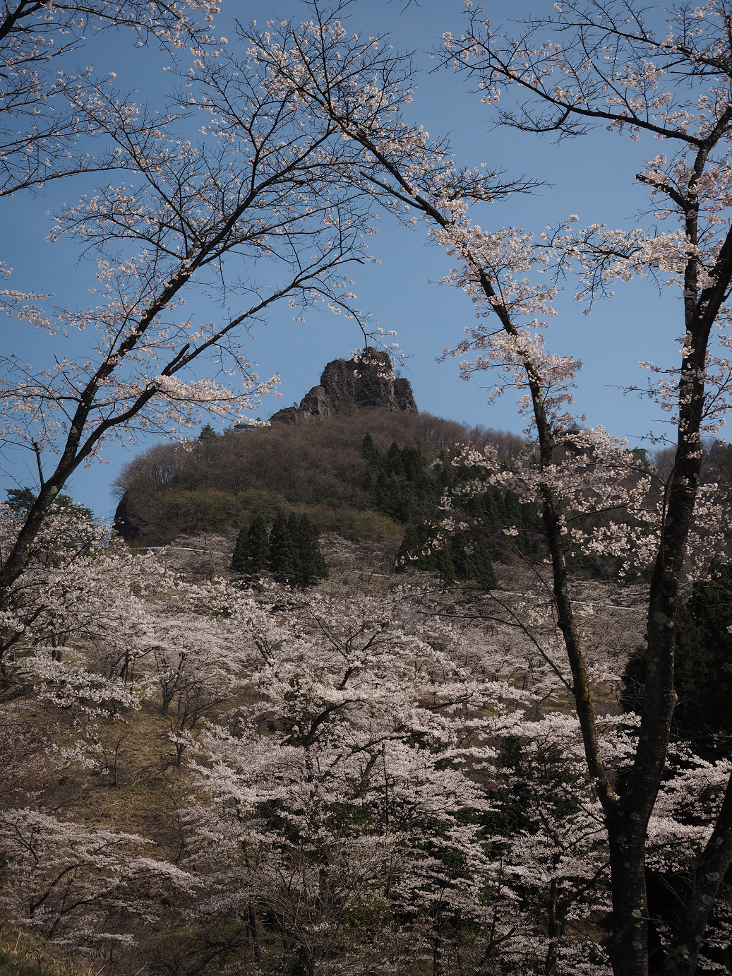 P4166367.jpg