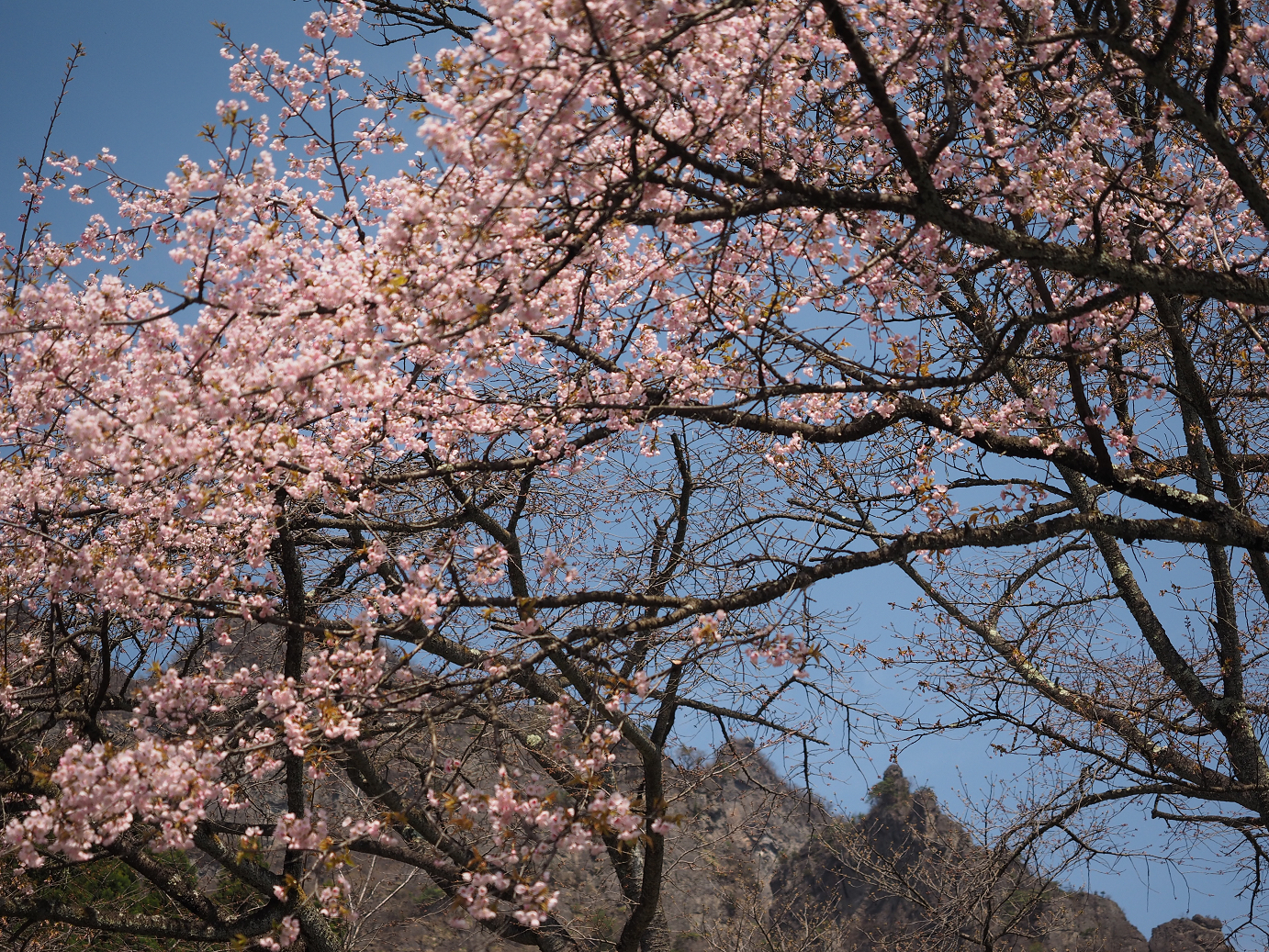 P4166392.jpg
