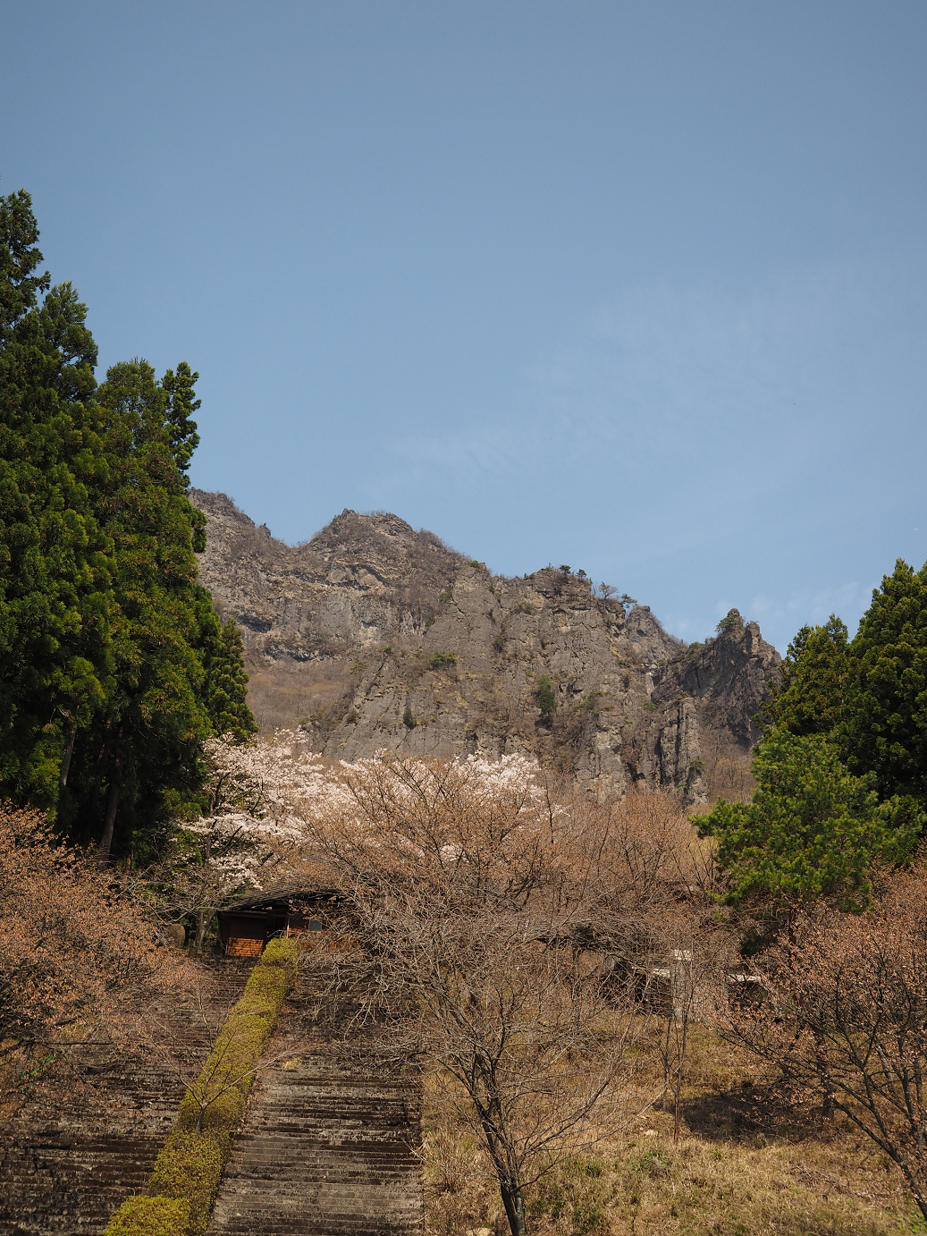 P4166396.jpg