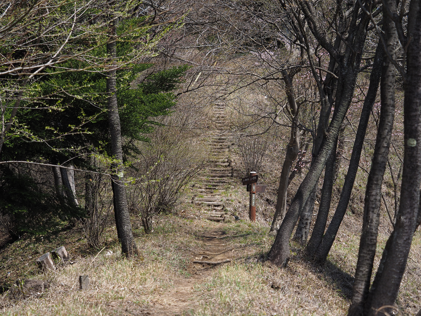 P4166411.jpg