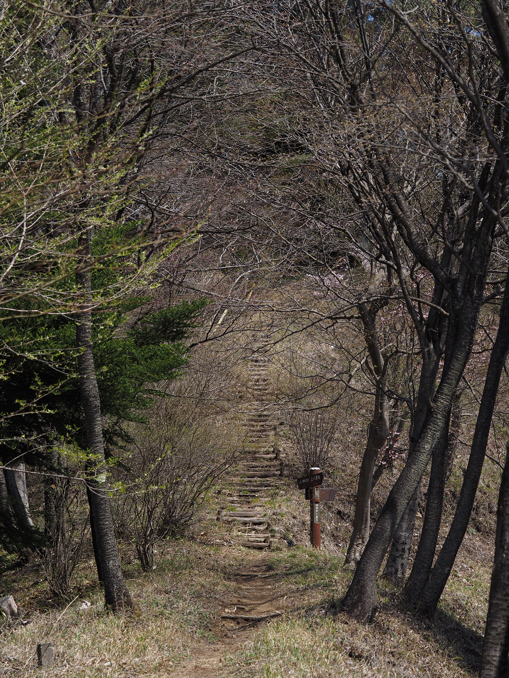 P4166412.jpg