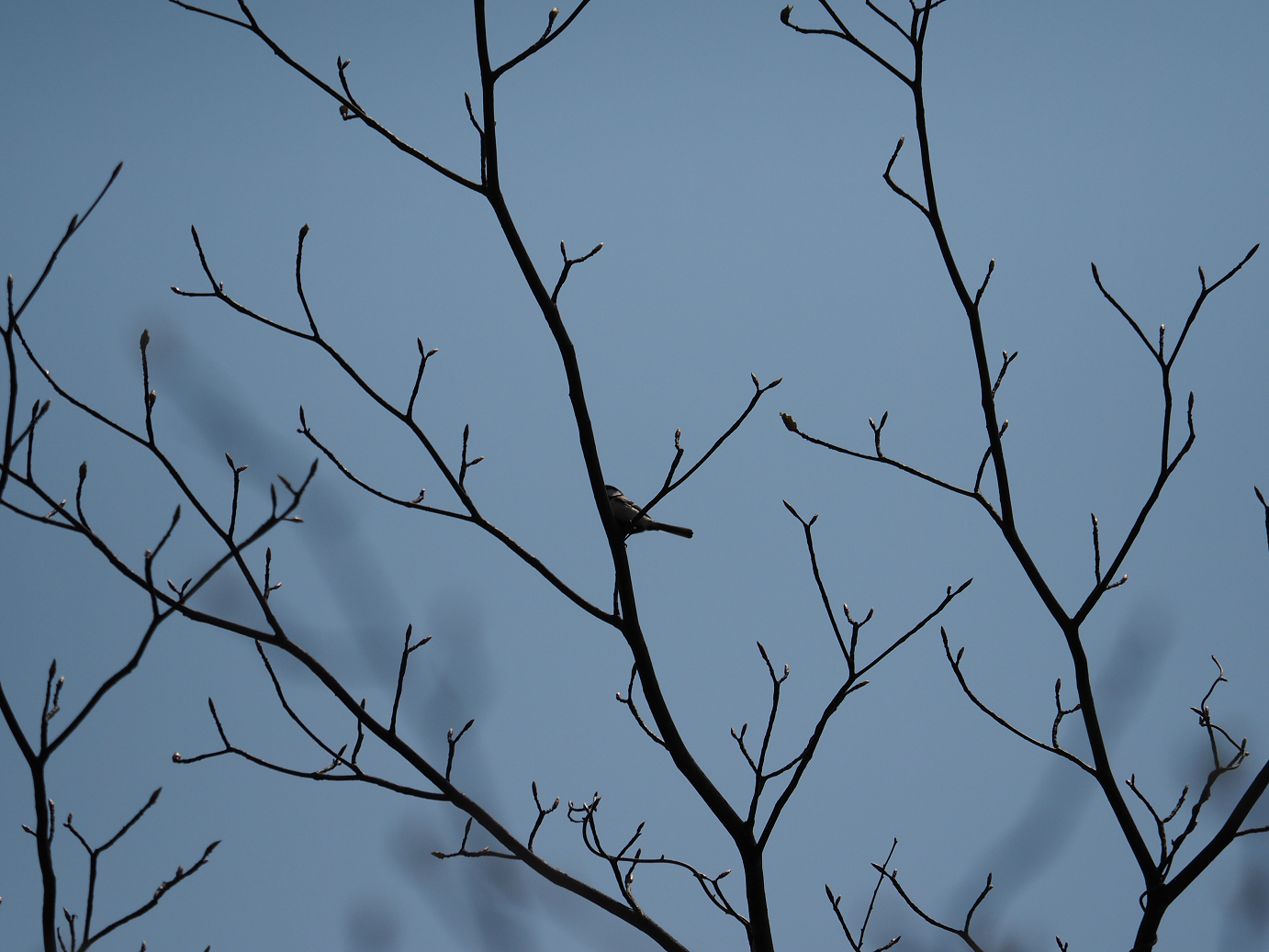 P4166415.jpg